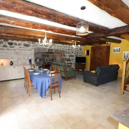 Maison De Charme A Dienne - 6 Pers, Terrasse, Jardin, Pres Puy Mary Et Murat - Fr-1-742-264 * Dienne (Cantal)